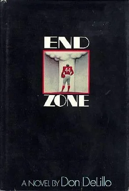 Don DeLillo End Zone обложка книги