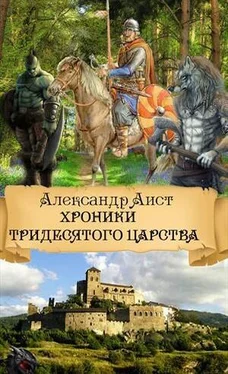 Александр Аист Хроники Тридесятого Царства [СИ] обложка книги