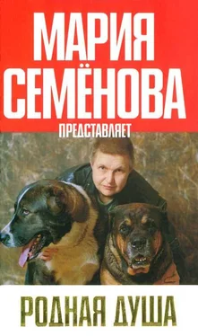 Мария Семенова Родная душа: Рассказы о собаках обложка книги