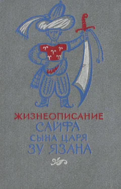 Эпосы, легенды и сказания Жизнеописание Сайфа сына царя Зу Язана обложка книги