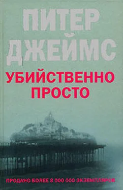 Питер Джеймс Убийственно просто обложка книги