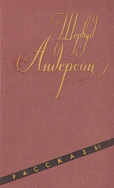 Шервуд Андерсон Человек в коричневой куртке обложка книги