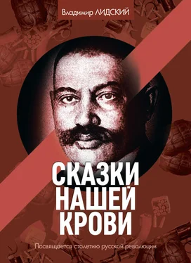 Владимир Лидский Сказки нашей крови обложка книги