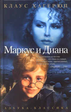 Клаус Хагерюп Маркус и Диана обложка книги