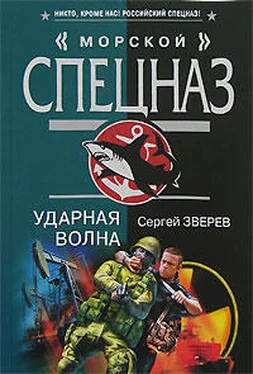 Сергей Зверев Ударная волна обложка книги