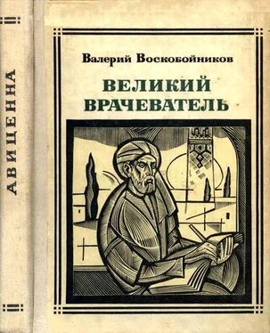 Валерий Воскобойников Великий врачеватель обложка книги