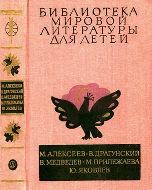 Валерий Медведев Библиотека мировой литературы для детей, т. 29, кн. 3 [Повести и рассказы] обложка книги