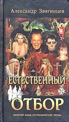 Александр Звягинцев - Естественный отбор