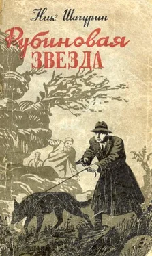 Николай Шагурин Рубиновая звезда обложка книги