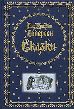 Ганс Андерсен Эльф розового куста обложка книги