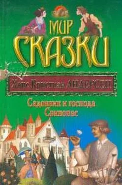 Ганс Андерсен Садовник и господа обложка книги