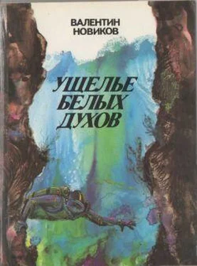 Валентин Новиков Четвертое измерение обложка книги