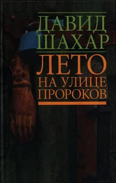 Давид Шахар Лето на улице Пророков обложка книги