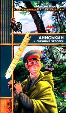 Максим Курочкин Аниськин и снежный человек обложка книги