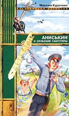 Максим Курочкин Аниськин и сельские гангстеры обложка книги