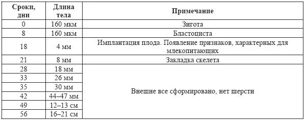 Если в течение первой половины эмбриогенеза зародыши собак различных пород мало - фото 35
