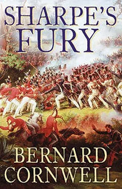 Бернард Корнуэлл Sharpe's Fury обложка книги