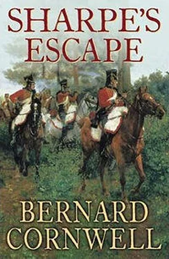 Бернард Корнуэлл Sharpe's Escape обложка книги