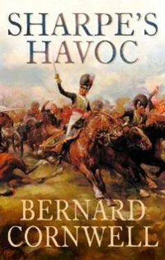 Бернард Корнуэлл Sharpe's Havoc обложка книги