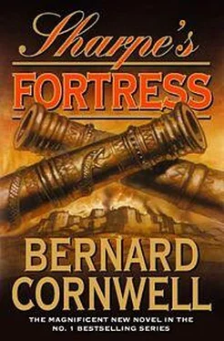 Бернард Корнуэлл Sharpe's Fortress