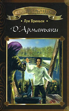 Луи Бриньон Д'Арманьяки обложка книги