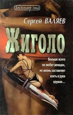 Сергей Валяев Жиголо обложка книги