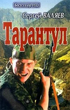 Сергей Валяев Тарантул обложка книги