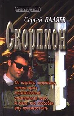 Сергей Валяев Скорпион обложка книги