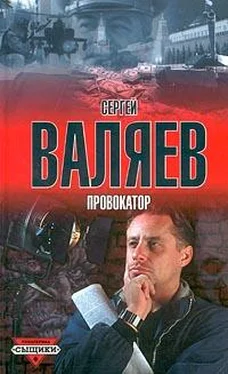 Сергей Валяев Провокатор обложка книги