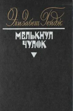 Элизабет Гейдж Мелькнул чулок обложка книги