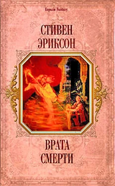 Стивен Эриксон Врата Смерти(пер. И.Иванова) обложка книги