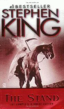 Stephen King The Stand обложка книги