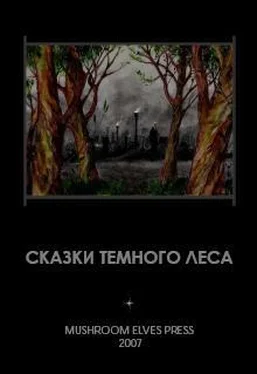 Неизвестный Автор Сказки темного леса обложка книги