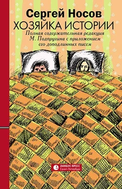 Сергей Носов Хозяйка истории [В новой редакции М. Подпругина с приложением его доподлинных писем] обложка книги