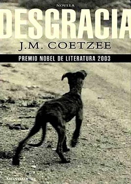 J. Coetzee Desgracia обложка книги