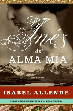 Isabel Allende Ines Del Alma Mía обложка книги