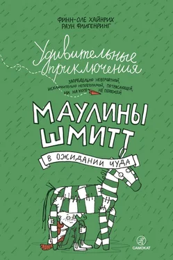 Финн-Оле Хайнрих Удивительные приключения Маулины Шмитт. В ожидании чуда обложка книги