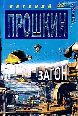 Евгений Прошкин Загон обложка книги