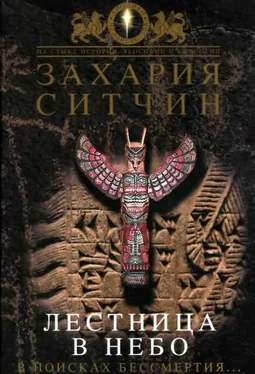 Захария Ситчин Лестница в небо. В поисках бессмертия обложка книги