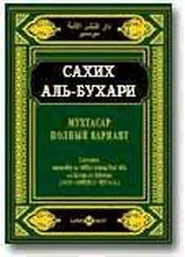 Коран Мухтасар «Сахих» (сборник хадисов) обложка книги