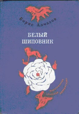 Борис Алмазов Деревянное царство (с рисунками О. Биантовской) обложка книги