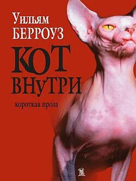 Уильям Берроуз Кот внутри (сборник) обложка книги