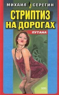 Михаил Серегин Стриптиз на дорогах обложка книги