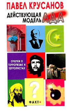 Павел Крусанов Действующая модель Ада обложка книги