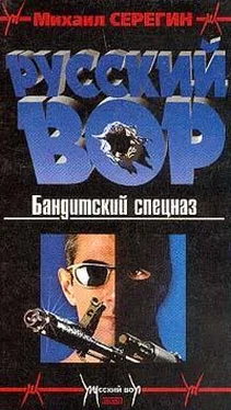 Михаил Серегин Бандитский спецназ обложка книги