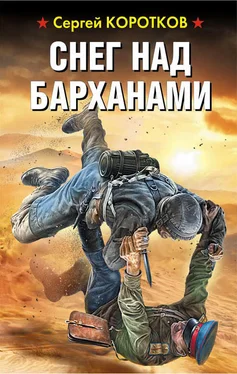 Сергей Коротков Снег над барханами обложка книги