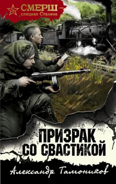 Александр Тамоников Призрак со свастикой обложка книги