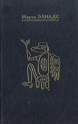 Мирча Элиаде - Шаманизм. Архаические техники экстаза