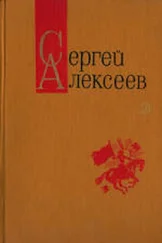 Сергей Алексеев - Богатырские фамилии (Рассказы)