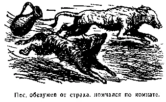 Мужчины и женщины хохотали так что слезы капали из глаз многие попадали со - фото 10